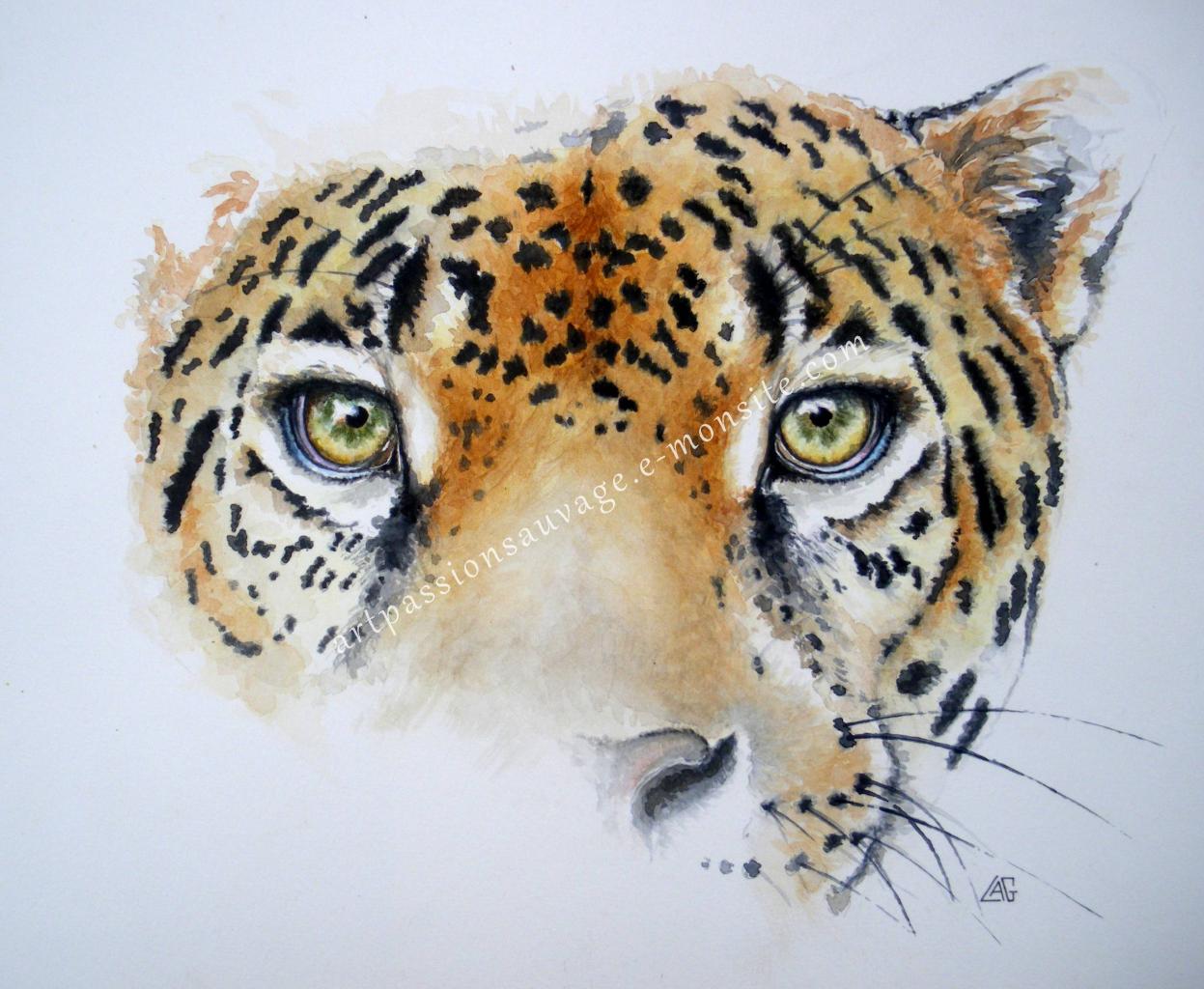 Portrait de Jaguar