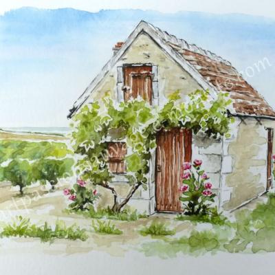 Maison de vigne en Touraine