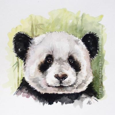 Panda aquarelle 30x30xcm