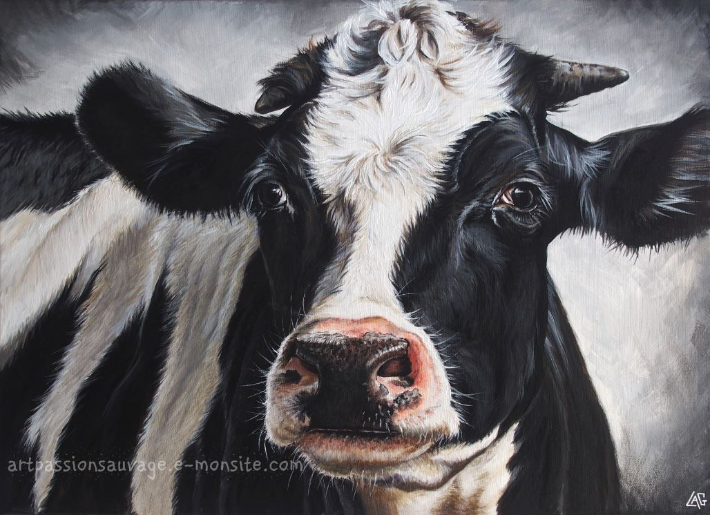 Vache acrylique sur toile 60x80 cm