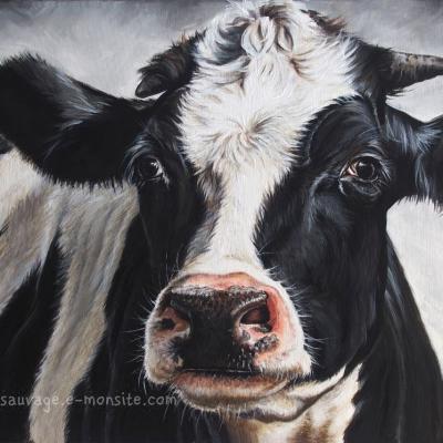 Vache acrylique sur toile 60x80 cm