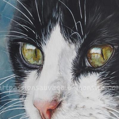 Peinture chat acrylique