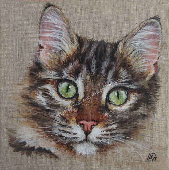 Chat acrylique lin