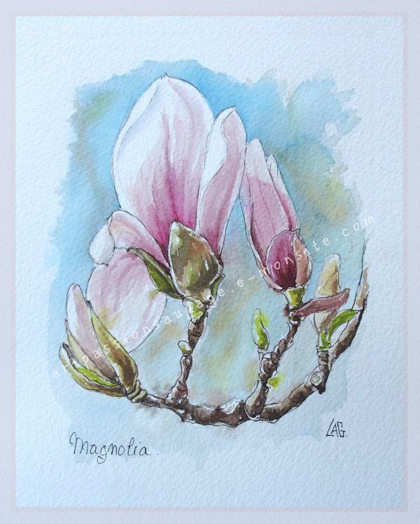 Magnolia aquarelle