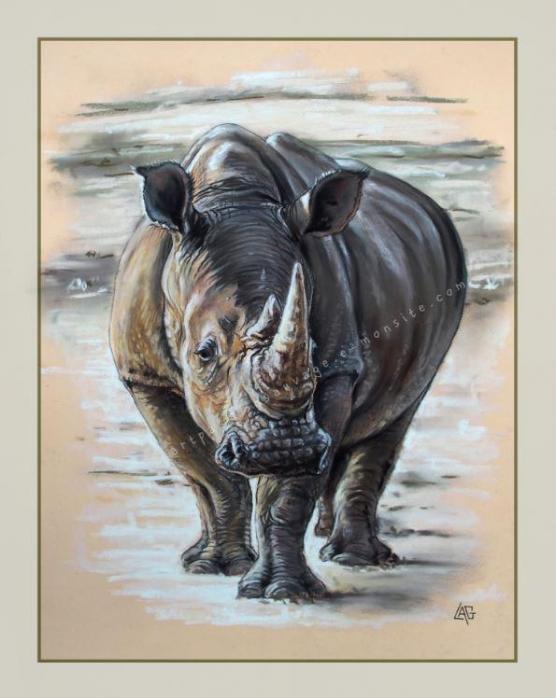Rhinocéros pastel