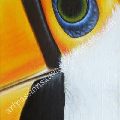 L'oeil du Toucan toco