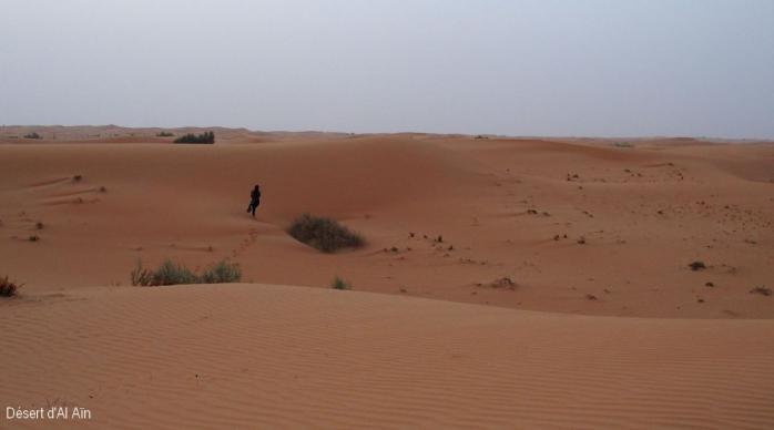 Desert d'Al Ain