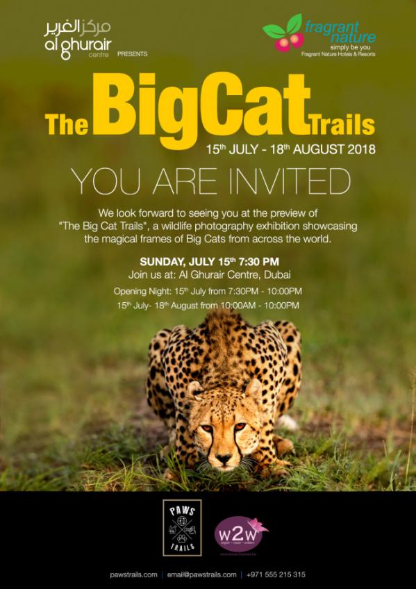 Bigcattrails invite 03