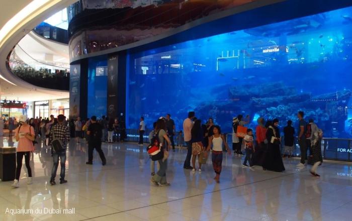 Aquarium dans le Dubaï Mall