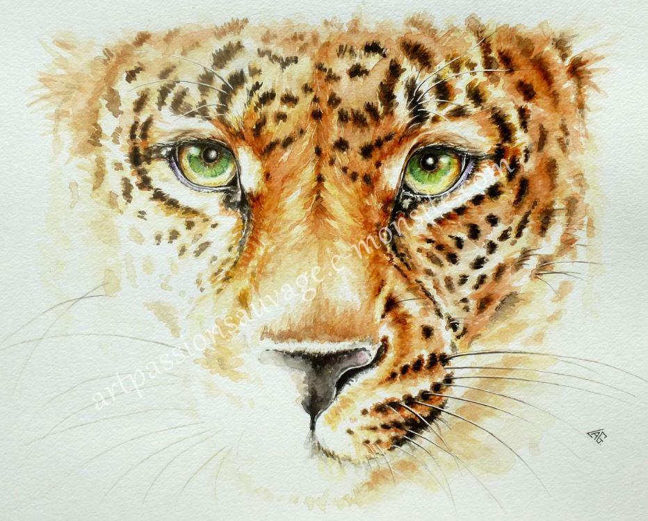 Portrait de jaguar