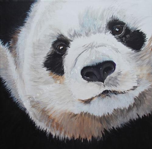 Panda acrylique