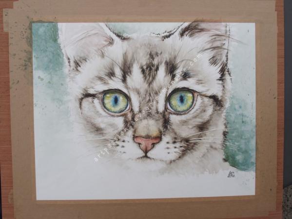 Jeune chat aquarelle