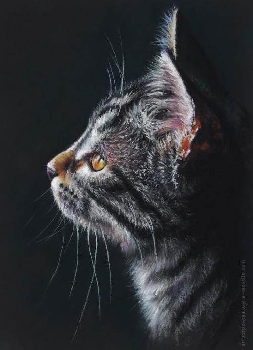 Portrait chat pastel
